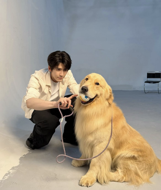 าง หลิงเหอ แชร์ภาพกับโกลเด้นรีทรีฟเวอร์.png